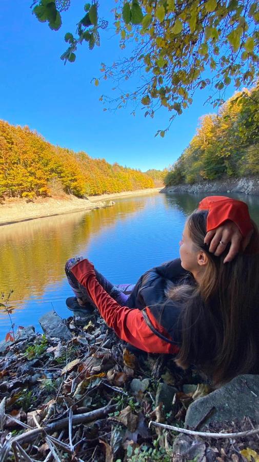 Adori Daire Ilirska Bistrica Dış mekan fotoğraf