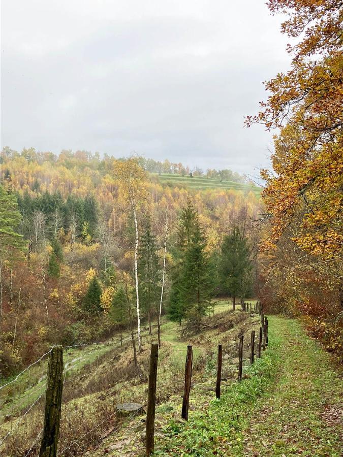 Adori Daire Ilirska Bistrica Dış mekan fotoğraf